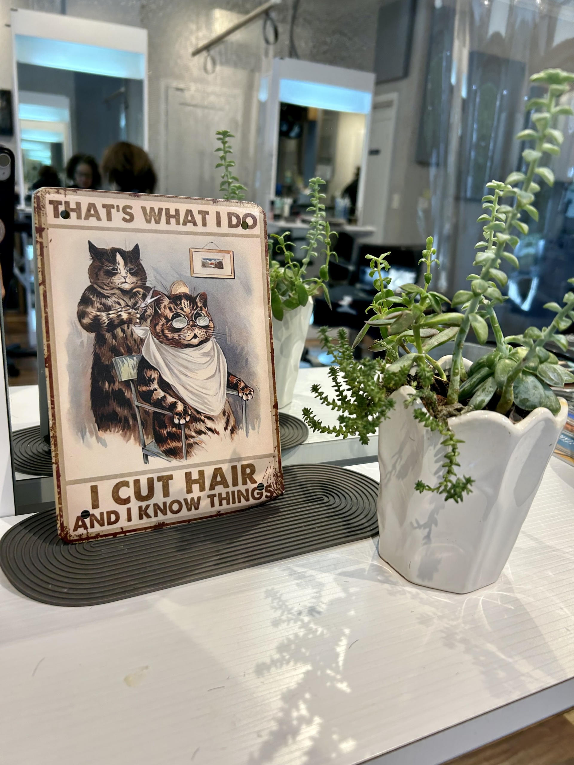 Hair stylist station with funny quote and green plant